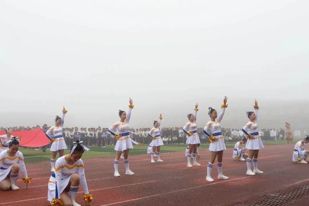 DSC05191.jpg 图片